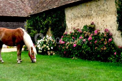 Deux toilettes séparées par une cloison, chacune équipée d'un lavabo, d'un miroir et d'un éclairage au plafond.