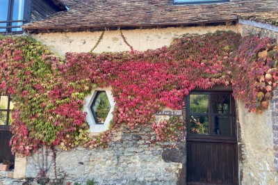 Deux toilettes séparées par une cloison, chacune équipée d'un lavabo, d'un miroir et d'un éclairage au plafond.