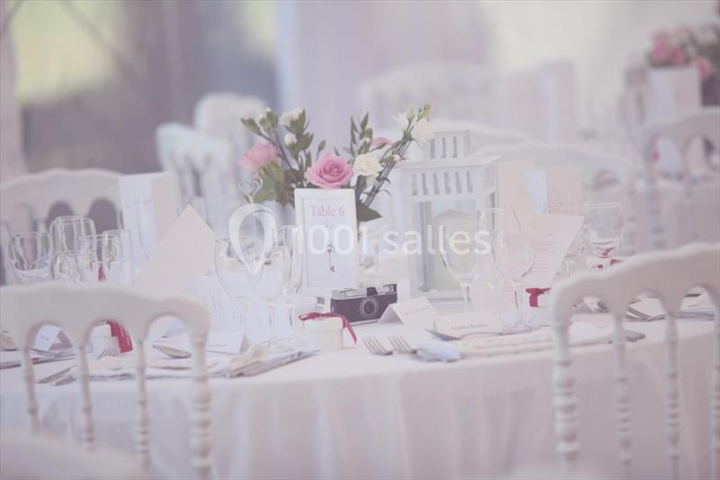 Location salle Foussignac (Charente) - Château De Brillac #6