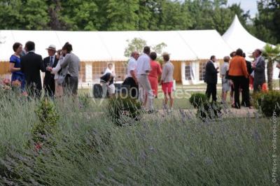 Location salle Foussignac (Charente) - Château De Brillac #16
