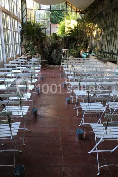 Rangées de chaises blanches pliantes disposées dans une serre lumineuse avec des plantes en arrière-plan.