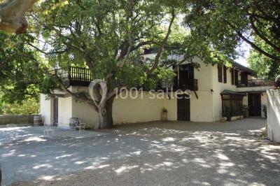 Miniature Location salle Sète (Hérault) - Le Jardin #13 Un vélo vintage avec un panier de fleurs, entouré de pots et arrosoirs fleuris sur un sol en gravier.