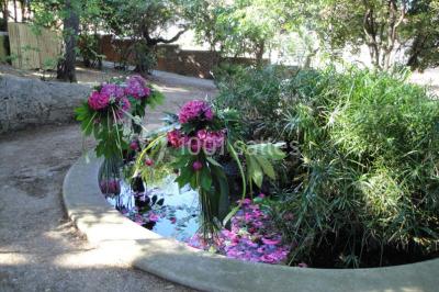 Miniature Location salle Sète (Hérault) - Le Jardin #23 Un vélo vintage avec un panier de fleurs, entouré de pots et arrosoirs fleuris sur un sol en gravier.