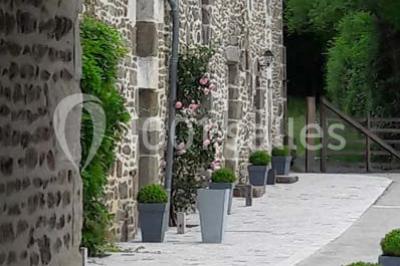 Chambre mansardée avec quatre lits simples, couvertures bleues et étagère en bois clair contre un mur gris.
