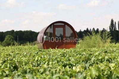 Cabane en bois arrondie dans un champ verdoyant sous un ciel bleu clair.