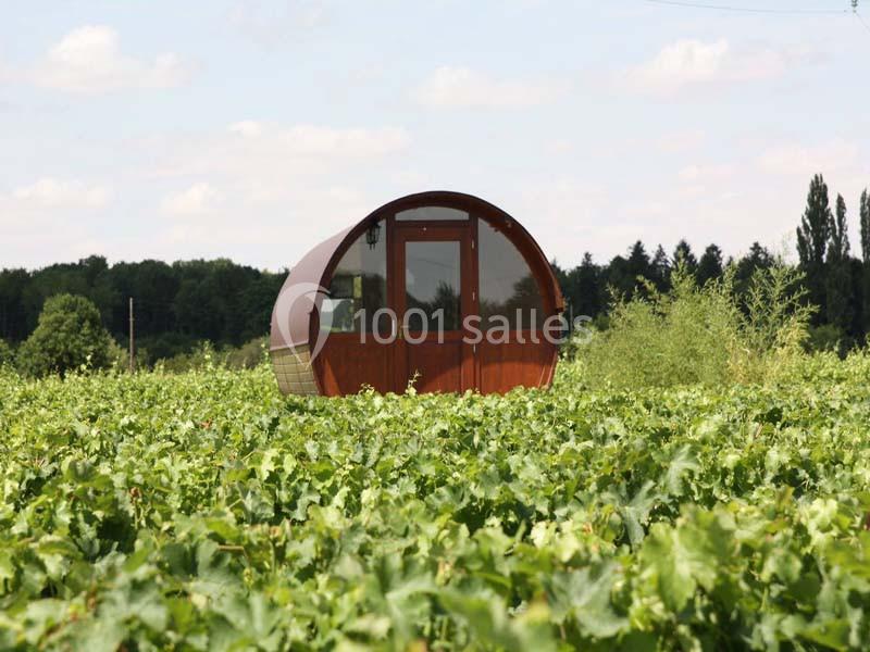 Cabane en forme de tonneau en bois au milieu d'un vignoble verdoyant sous un ciel dégagé.
