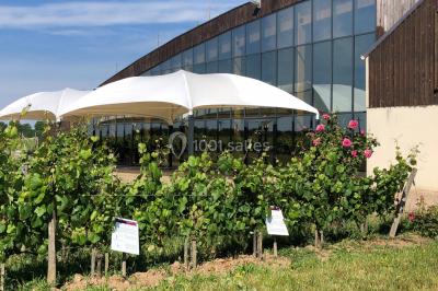 Cabane en bois arrondie dans un champ verdoyant sous un ciel bleu clair.