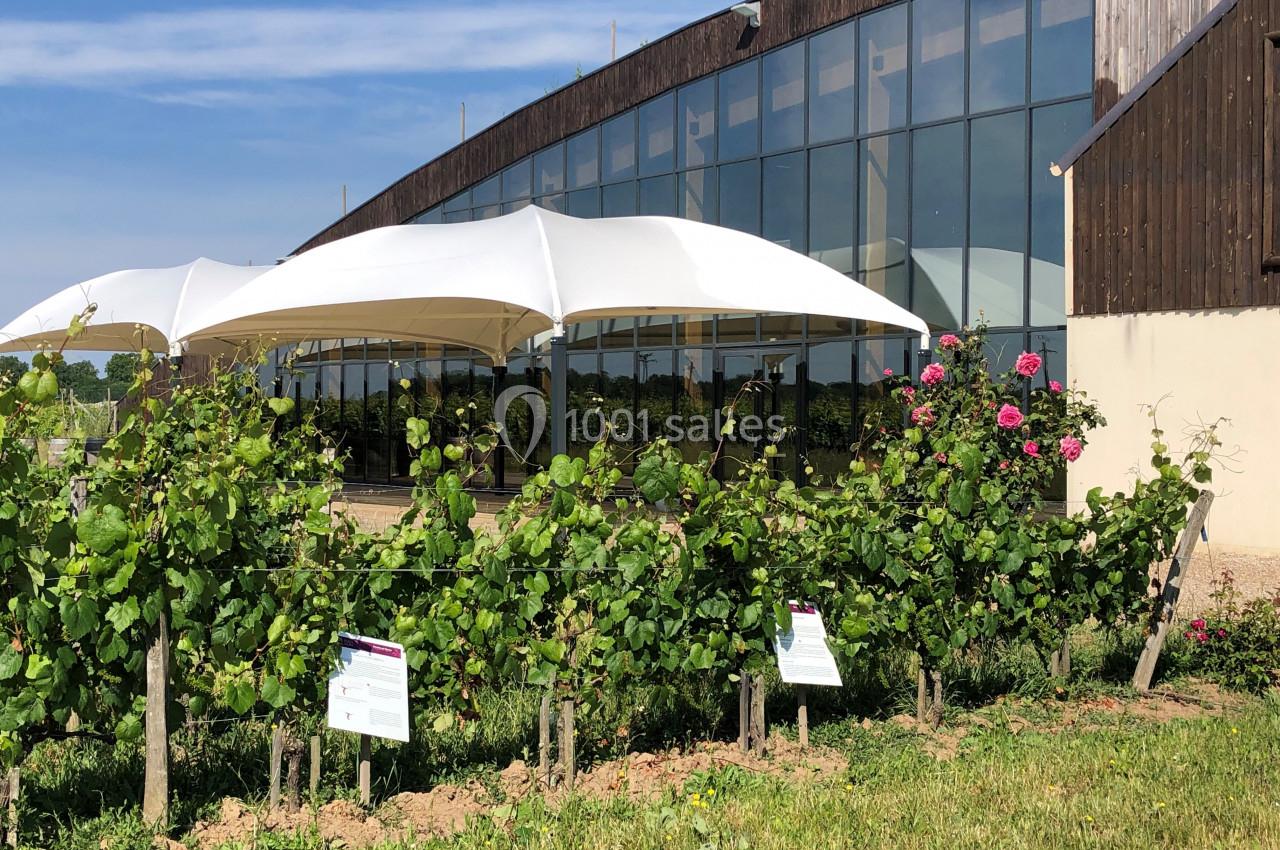 Vignes avec panneaux explicatifs devant un bâtiment vitré et des parasols blancs, par une journée ensoleillée.