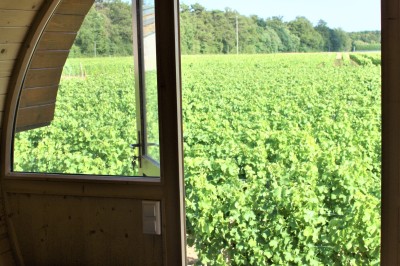 Deux cabanes en bois entourées de vignes et de verdure sous un ciel bleu dégagé.