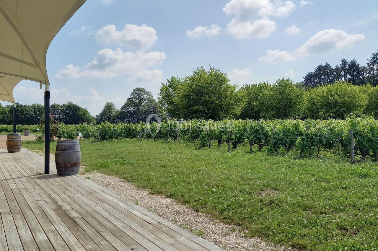 Terrasse en bois avec tonneaux, vue sur des vignes verdoyantes sous un ciel bleu parsemé de nuages.