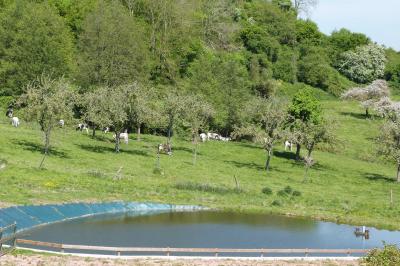 Chambre simple avec un lit double, une table en bois, une chaise et une lumière murale, donnant sur une porte vitrée.