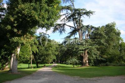 Deux lits simples en bois avec couvre-lits bleus dans une chambre mansardée aux murs bleus et parquet au sol.