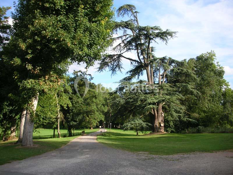 Allée bordée d'arbres dans un parc verdoyant sous un ciel partiellement nuageux.