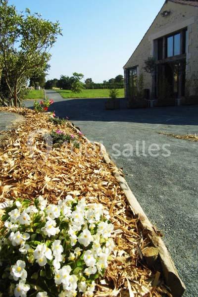Massif de fleurs blanches bordé de paillis devant une allée menant à une maison en pierre sous un ciel dégagé.
