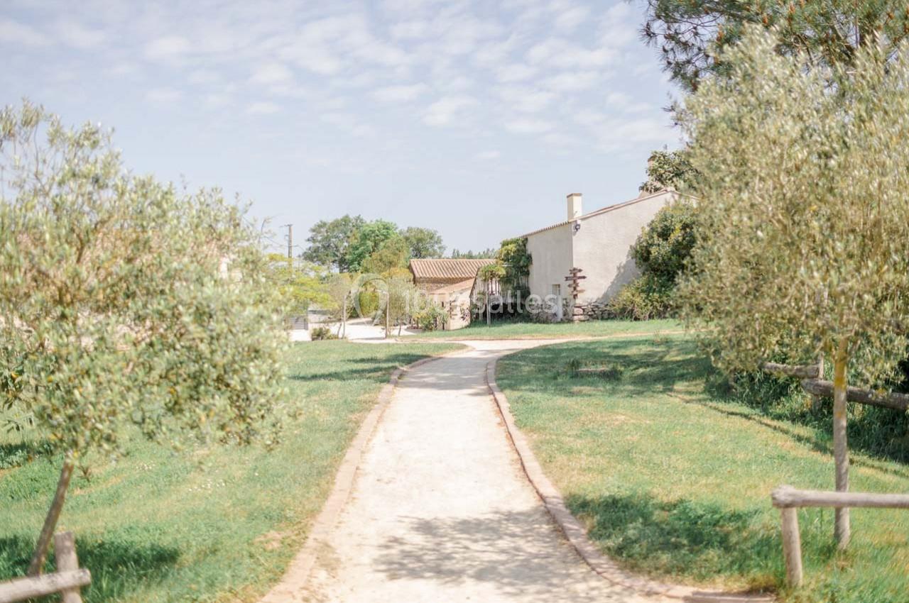 Chemin en terre bordé d'arbres et d'herbe menant à une maison en pierre sous un ciel partiellement nuageux.