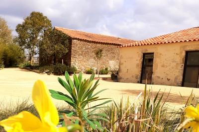 Espace salon lumineux avec fauteuils en osier, cheminée en pierre, piano, plantes et fenêtre donnant sur un jardin.