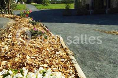 Espace salon lumineux avec fauteuils en osier, cheminée en pierre, piano, plantes et fenêtre donnant sur un jardin.