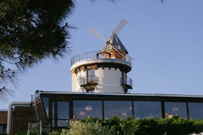 Personne coupant un plat composé de médaillons de viande, légumes rôtis et sauce blanche, servi sur une assiette blanche.