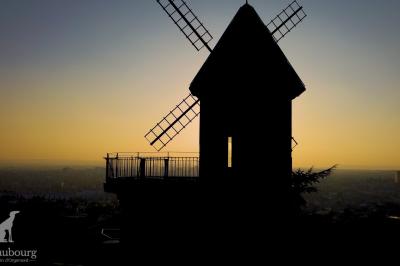 Personne coupant un plat composé de médaillons de viande, légumes rôtis et sauce blanche, servi sur une assiette blanche.