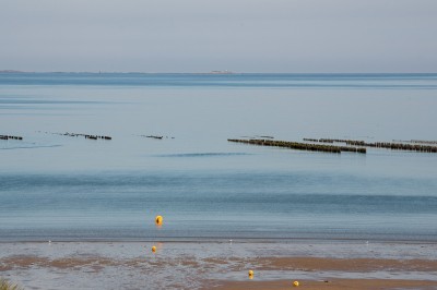 Vue d'une plage à marée basse avec des bouées jaunes et des structures ostréicoles dans une mer calme.