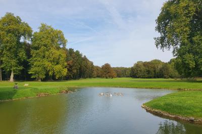Serre éclairée au crépuscule, entourée de bâtiments anciens et d'arbres, avec un étang au premier plan.