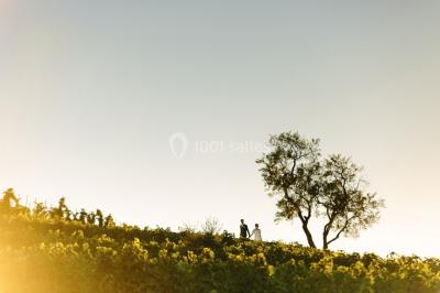 Location salle Argelès-sur-Mer (Pyrénées-Orientales) - Château Valmy - Vall Maria #36