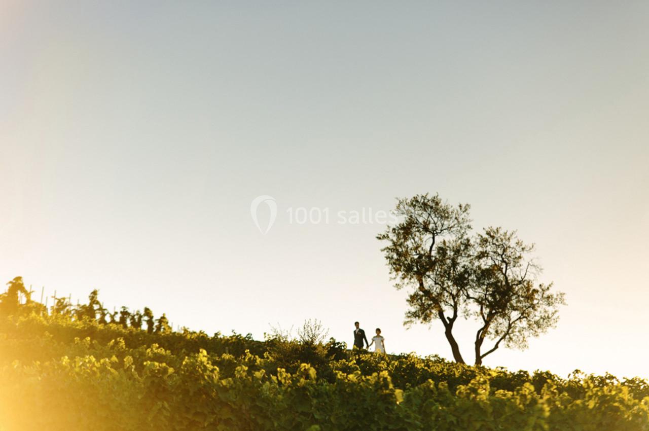 Location salle Argelès-sur-Mer (Pyrénées-Orientales) - Château Valmy - Vall Maria #22