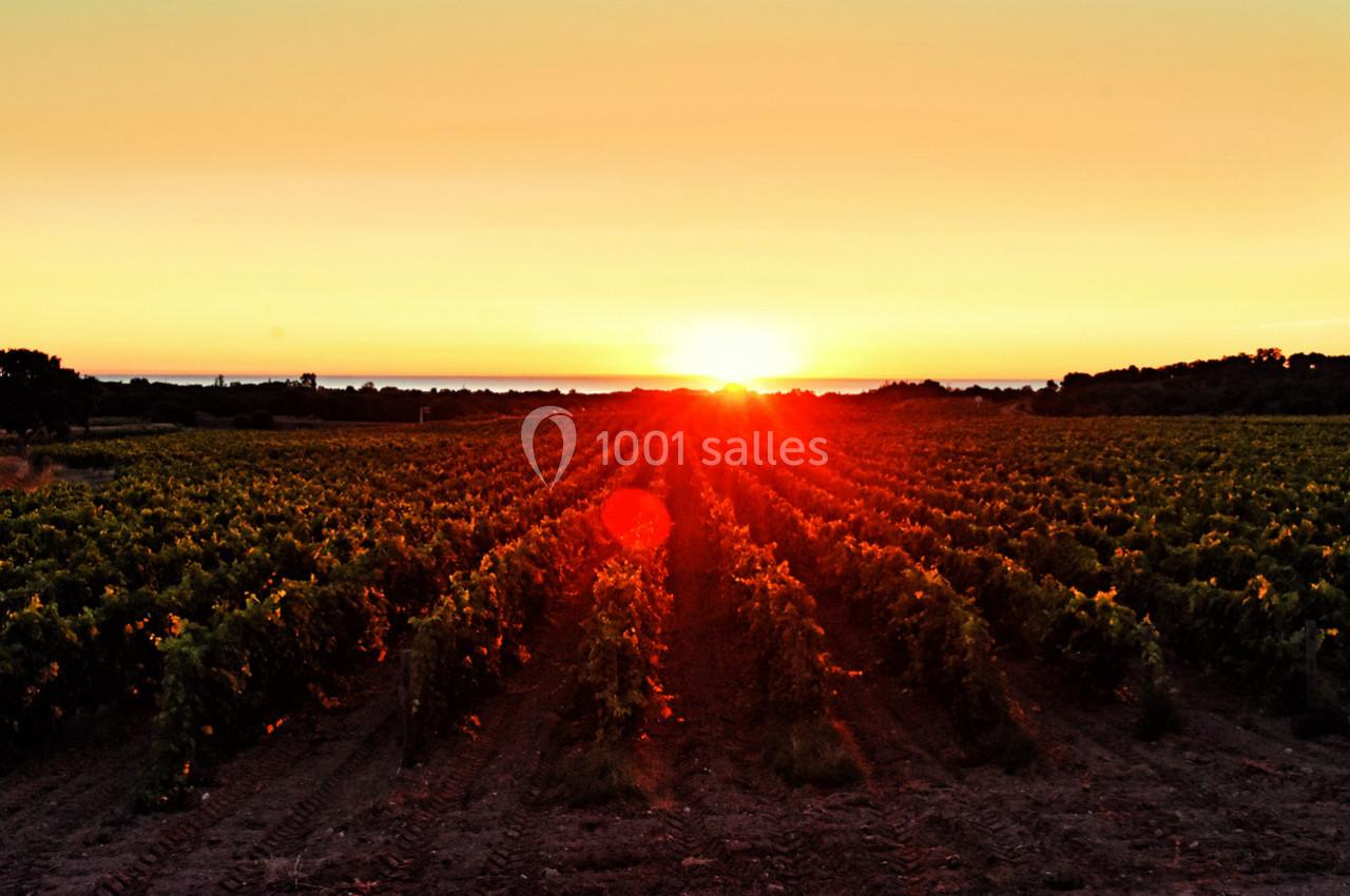 Location salle Argelès-sur-Mer (Pyrénées-Orientales) - Château Valmy - Vall Maria #23