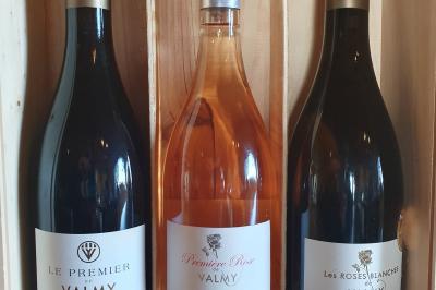 Location salle Argelès-sur-Mer (Pyrénées-Orientales) - Château Valmy - Vall Maria #36