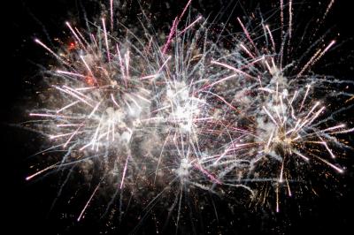 Un couple en tenue de mariage pose sur des rails entourés de verdure dans un cadre naturel et lumineux.