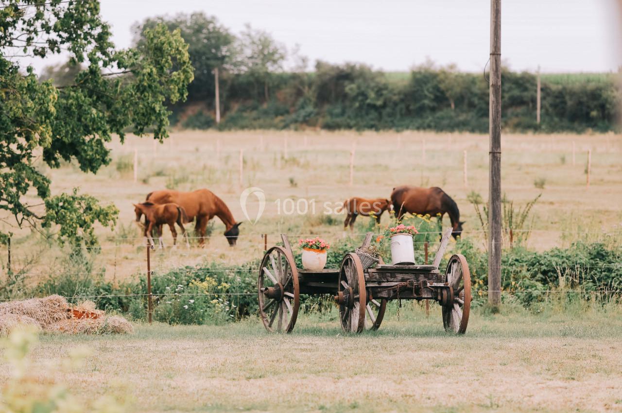 Charrette en bois décorée de fleurs devant un champ où des chevaux broutent près d'une clôture.