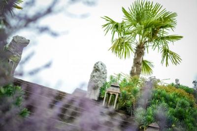 Plateau de bouchées apéritives variées présentées sur un napperon blanc, tenu par une personne en chemise blanche.