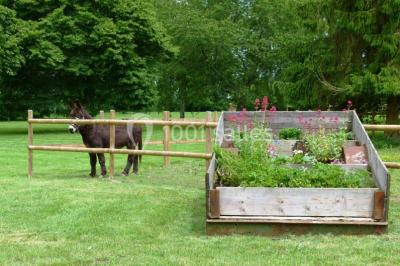 Salle lumineuse avec poutres apparentes, table décorée pour un candy bar sous une fenêtre de toit.