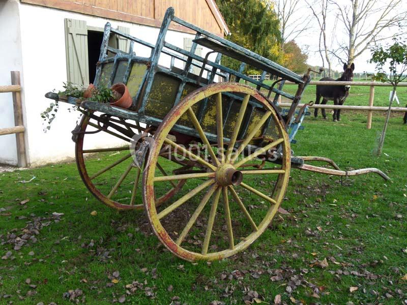 Charrette en bois ancienne avec des roues usées, posée sur l'herbe près d'une clôture et d'une maison.