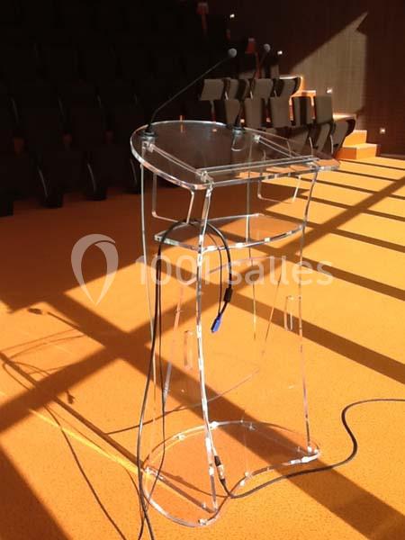 Location salle Saint-Herblain (Loire-Atlantique) - Amphitheatre Arbor Jovis #16