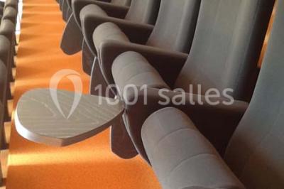 Location salle Saint-Herblain (Loire-Atlantique) - Amphitheatre Arbor Jovis #20