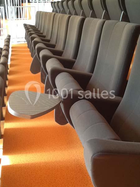 Location salle Saint-Herblain (Loire-Atlantique) - Amphitheatre Arbor Jovis #19