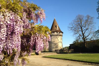 Château en pierre éclairé à la tombée de la nuit, entouré d'arbres et surmonté d'un ciel nuageux.