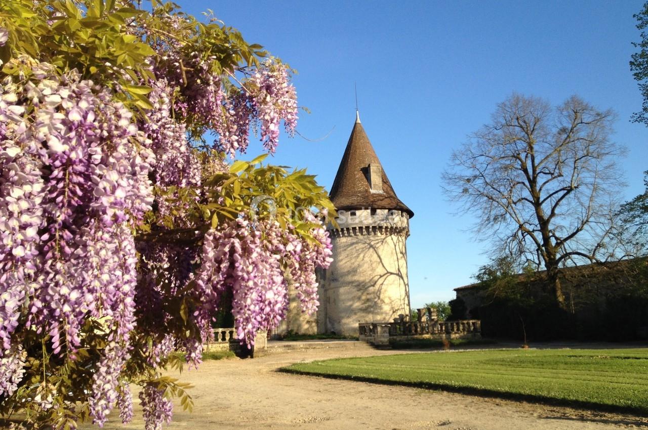 Tour en pierre avec un toit conique entourée de verdure, avec des glycines en fleurs au premier plan.