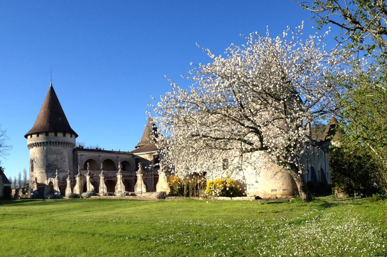 Château ancien avec tours et arbre en fleurs au premier plan, entouré d'une pelouse sous un ciel bleu.
