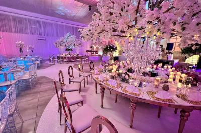 Voiture de sport verte aux portes papillon ouvertes, entourée de fumée et d'une foule dans un lieu éclairé.