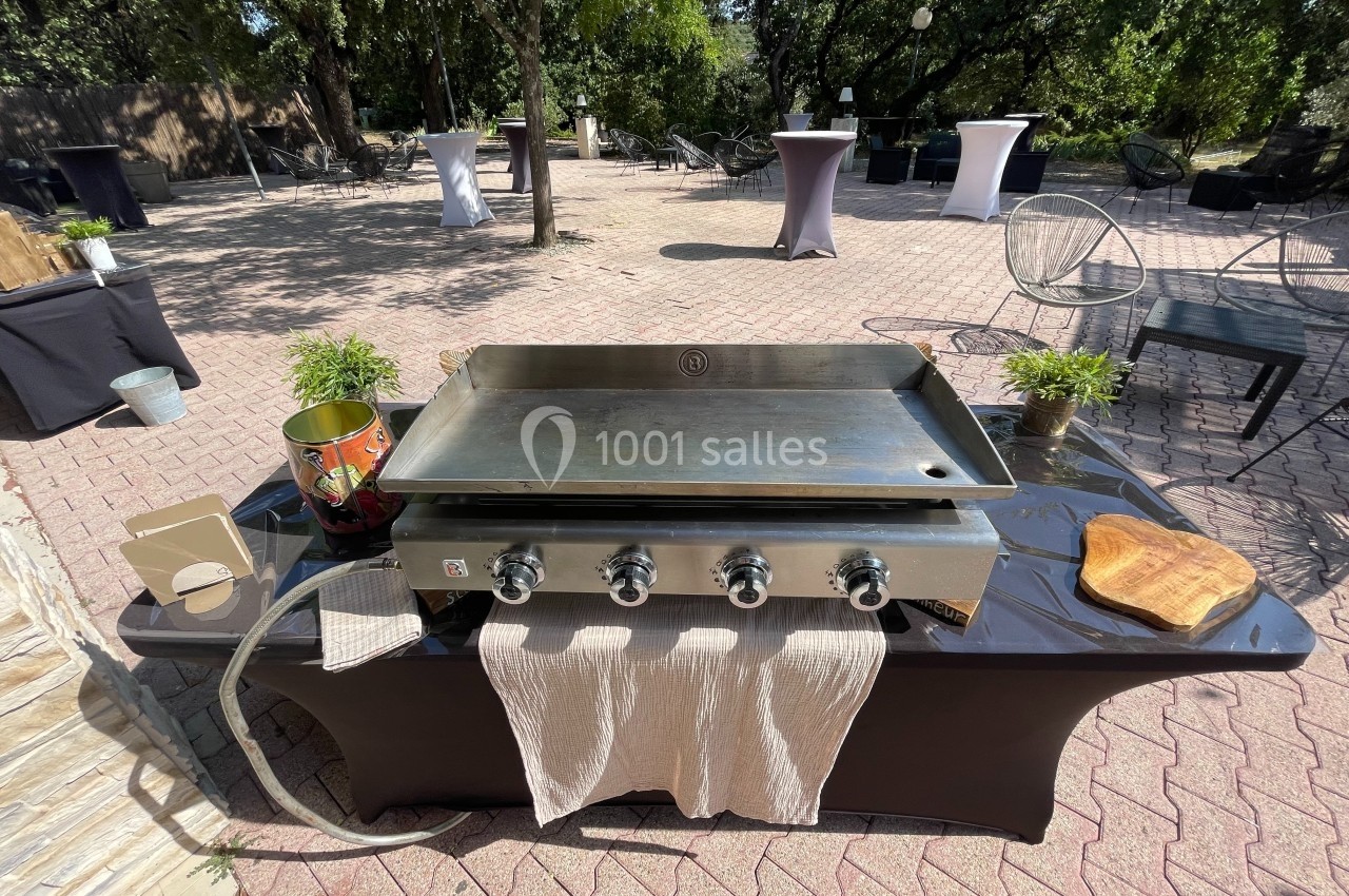 Plancha en acier inoxydable avec quatre brûleurs, installée sur une table en extérieur, entourée de végétation.