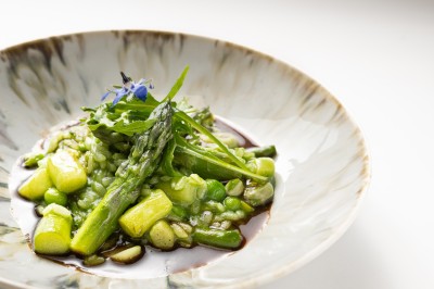 Location salle Saint-Paul-de-Vence (Alpes-Maritimes) - Hôtel Le Cantemerle **** #34