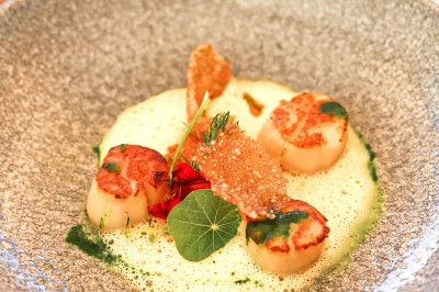 Location salle Saint-Paul-de-Vence (Alpes-Maritimes) - Hôtel Le Cantemerle **** #34