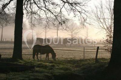 Location salle Poigny-la-Forêt (Yvelines) - Domaine Des Basses Masures #24