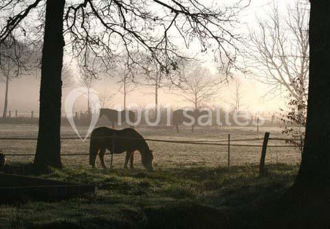 Location salle Poigny-la-Forêt (Yvelines) - Domaine Des Basses Masures #24