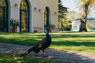 Location salle Cantenay-Épinard (Maine-et-Loire) - Domaine De Châtillon #59