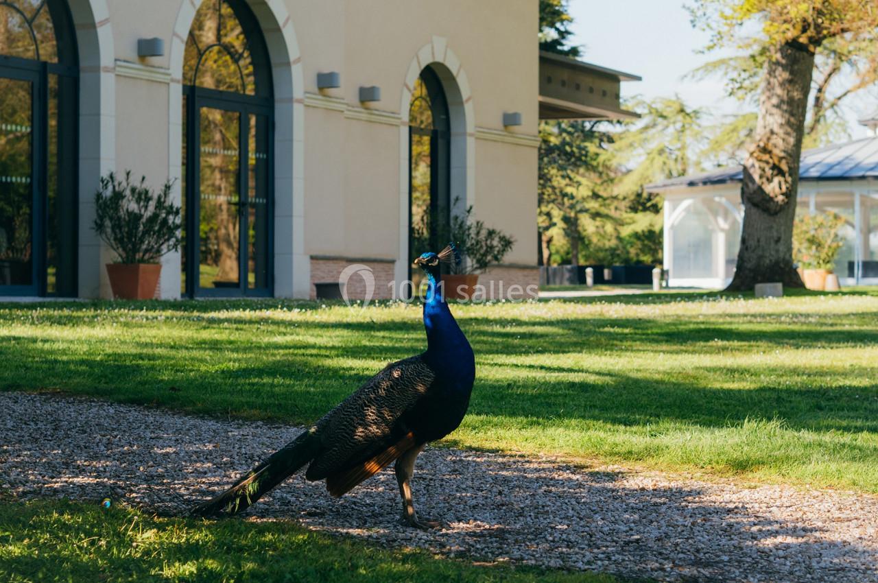 Location salle Cantenay-Épinard (Maine-et-Loire) - Domaine De Châtillon #3