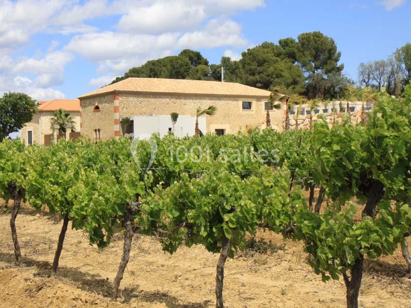 Location salle Magalas (Hérault) - Le Mas De Laux #2