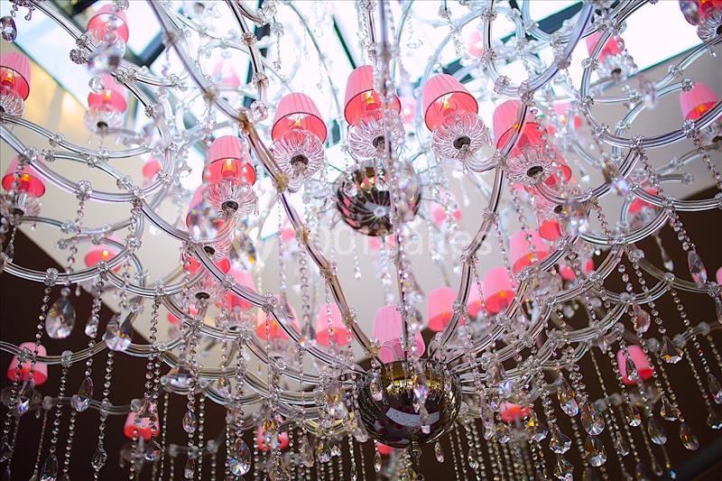 Location salle Busnes (Pas-de-Calais) - Rose Events #13